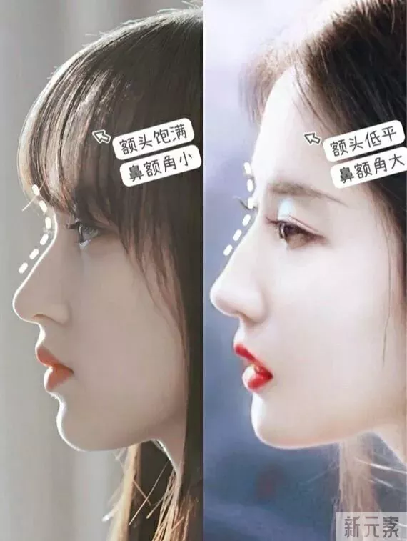 高鼻梁才好看❓你把“弧度”理解错了! 图片-3