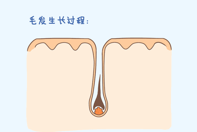 刮毛，真的会让毛越长越黑粗吗? 图片-4