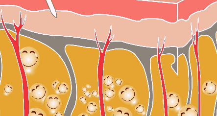 腿粗星人看过来，小粗腿秒变腿精全靠TA 图片-10