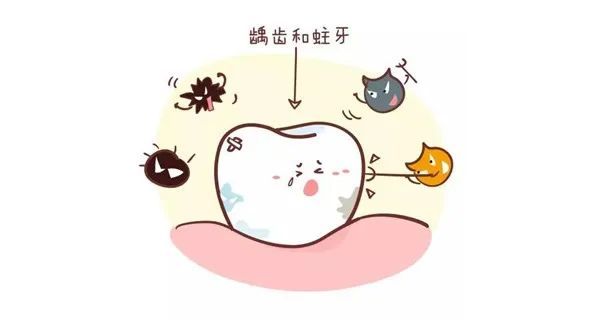 吃糖伤牙!嚼“木糖醇”，反而能预防龋齿吗? 图片-5