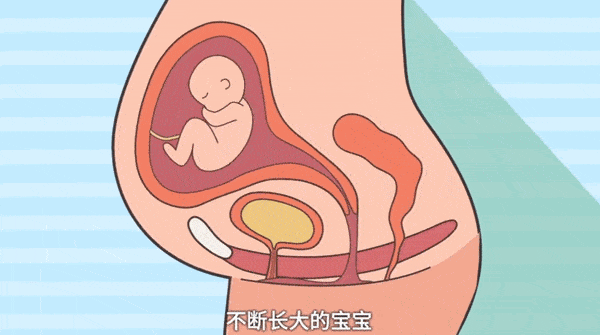 这部分肌肉群所有女人都要运动下! 图片-5