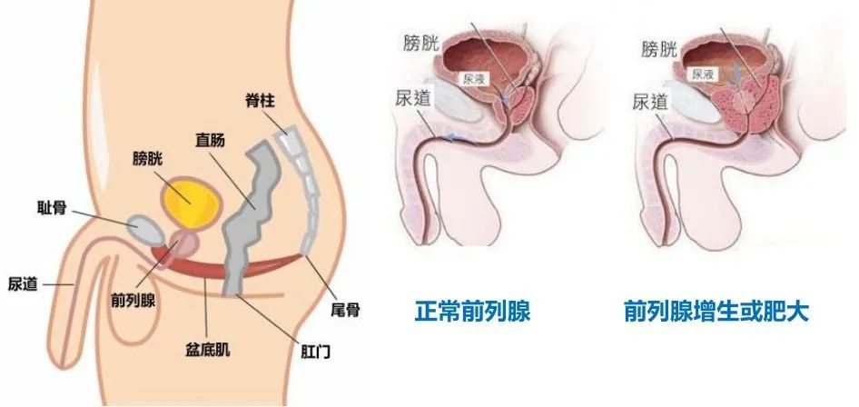 这部分肌肉群所有女人都要运动下! 图片-9