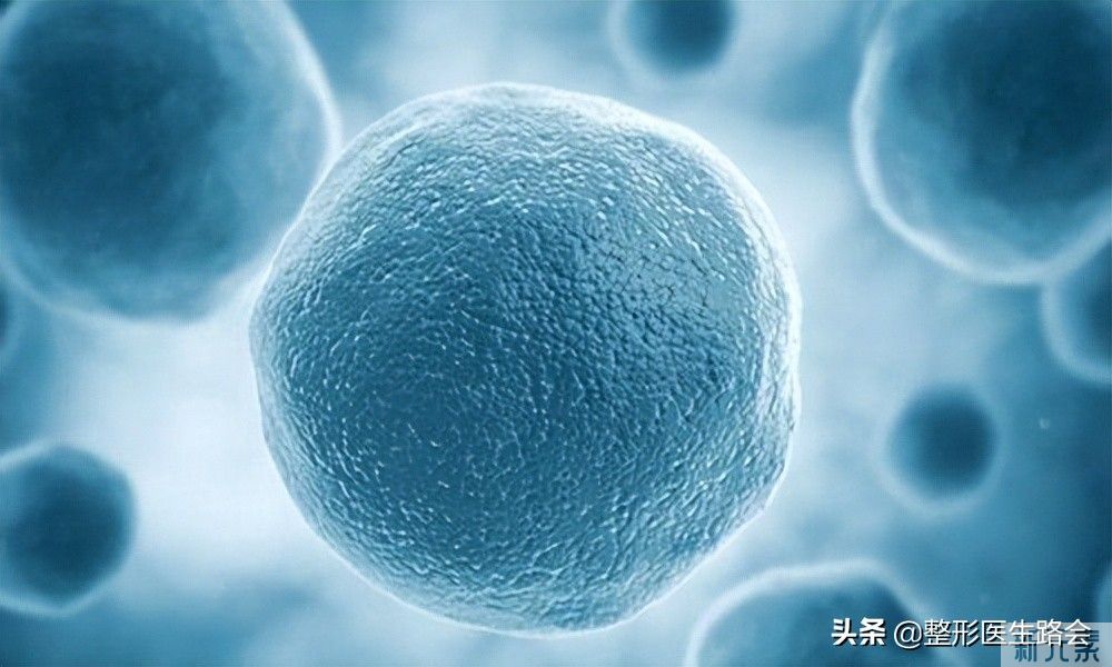 泪沟填充有6大常见方法(2)想知道哪种更适合你吗? 图片-1
