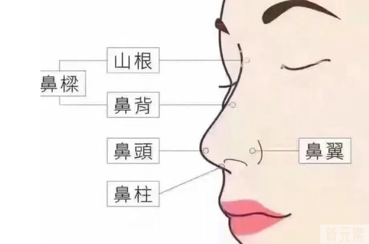 追求5分到9分的颜值飞跃，有效隆鼻很关键! 图片-3