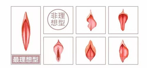 私密抗衰