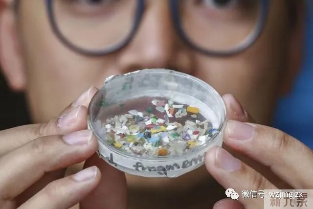 你可能不知道?!你的身体已经被“微塑料”占领了!!! 图片-4