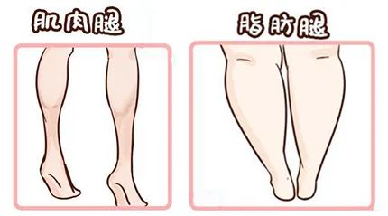 瘦腿针打多久能见效?可以维持多久?你想知道的都在这! 图片-6