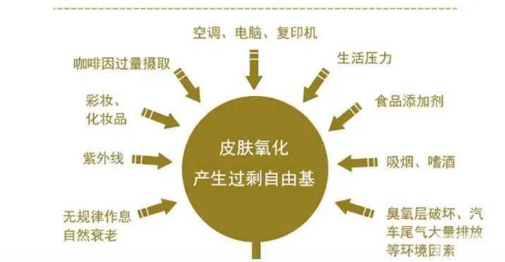 皮肤衰老的几大特征，怎样有效抗衰老 图片-13