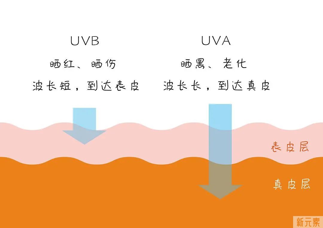 「7周年院庆」早点睡能解决黑眼圈问题吗? 图片-2