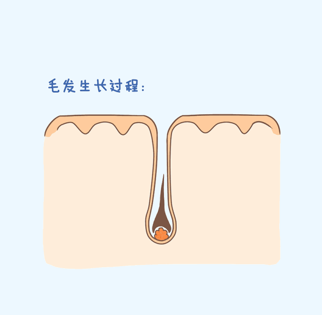 都说眉毛能支撑一个人的气场，前提是，你得有啊 图片-3