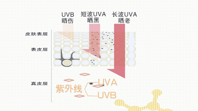 多喝柠檬水不能美白?先了解你的美白上限... 图片-6