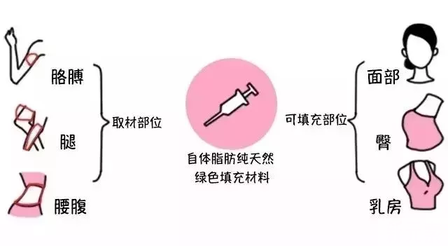 很多人谈之色变的脂肪，其实是个宝 图片-8