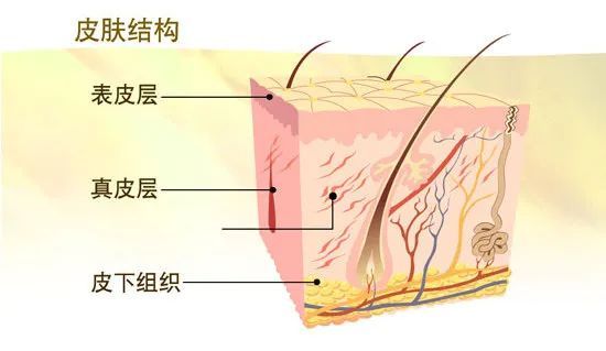 智商税?聊聊皮肤屏障修复那些事儿。 图片-3