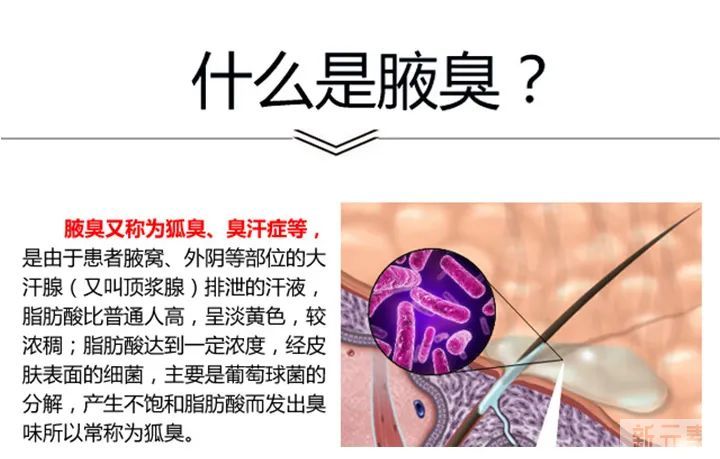 除腋臭 | 为防夏季尴尬，我可是找遍了方法! 图片-6