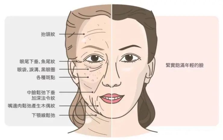 衰老的九大特征，看看你有没有?(内附解决办法!) 图片-2