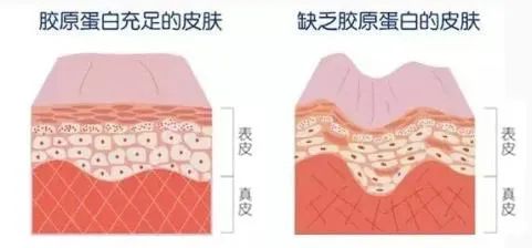 面部按摩能不能抗衰?她按摩保鲜颜值40年?上节目直接翻车... 图片-8
