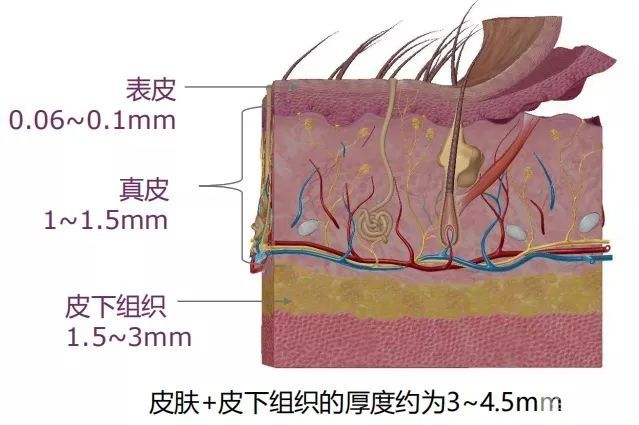 面部按摩能不能抗衰?她按摩保鲜颜值40年?上节目直接翻车... 图片-11