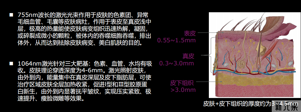 面部按摩能不能抗衰?她按摩保鲜颜值40年?上节目直接翻车... 图片-15