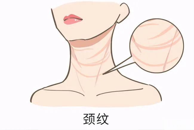 再美的颜，也抵挡不住颈纹杀伤力 图片-6