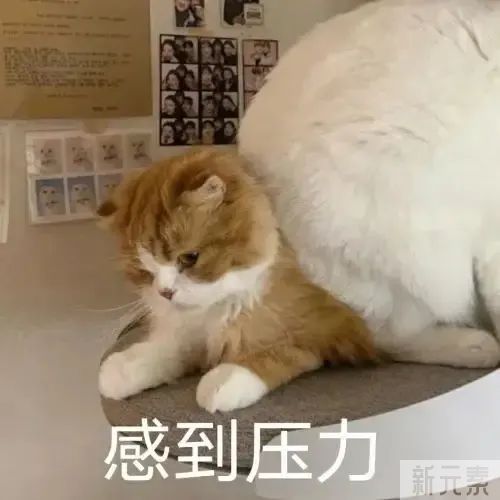 黄金超光子到底值不值得做?它和普通的光子嫩肤有何区别? 图片-2