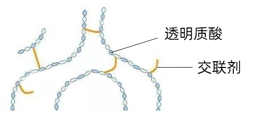 交联玻尿酸和非交联玻尿酸有什么区别?这次终于搞明白啦! 图片-8