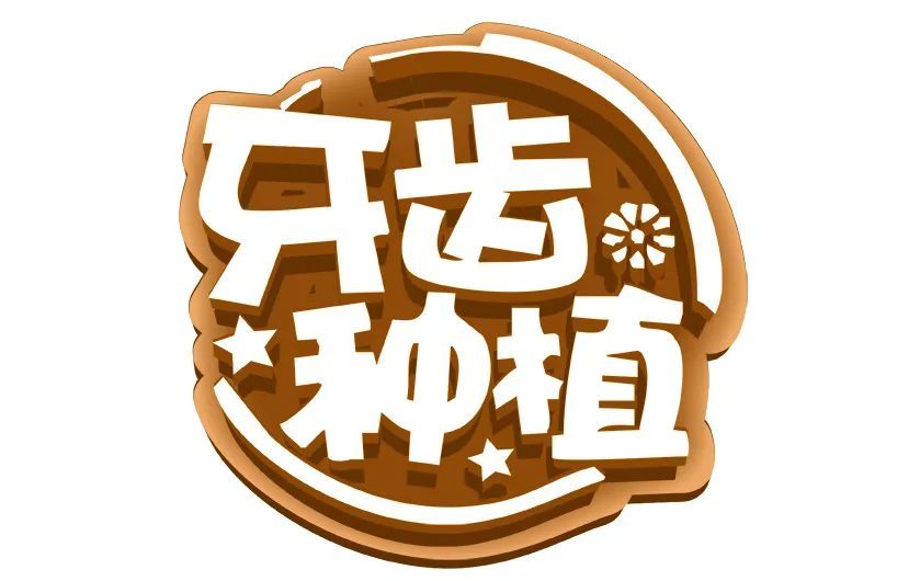 种牙手术后对牙膏的要求及护理须知 图片-3