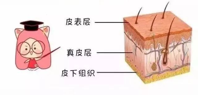 夏季水光肌养成攻略，净透亮白让你美到发光 图片-4