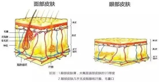 抗衰—美眼小绷带，点亮妈咪明亮双眸 图片-2