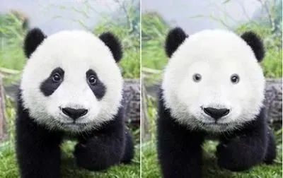 要睡多久觉，才能把黑眼圈睡没? 图片-6