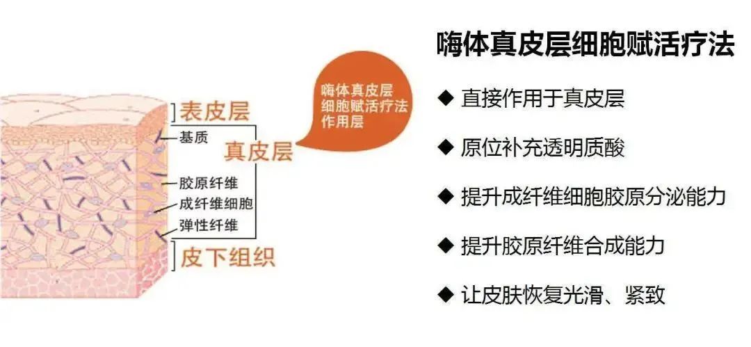 【干货来了】医美“红人”嗨体祛颈纹真的安全么? 图片-8