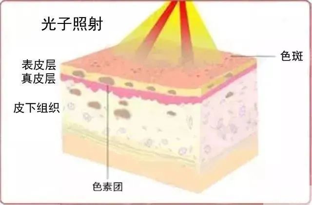 「光子嫩肤」真的能让你卸载所有美颜相机吗? 图片-2