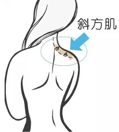 为什么同样的体重，你看起来更壮? 图片-11