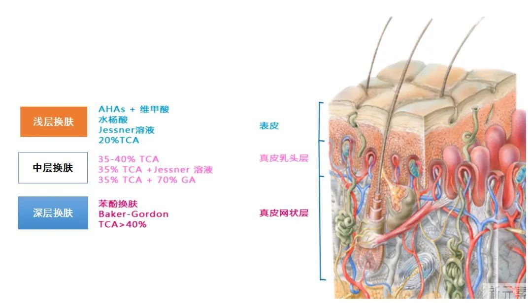 每天护肤，但你了解皮肤吗?皮肤知识超全解析 图片-7