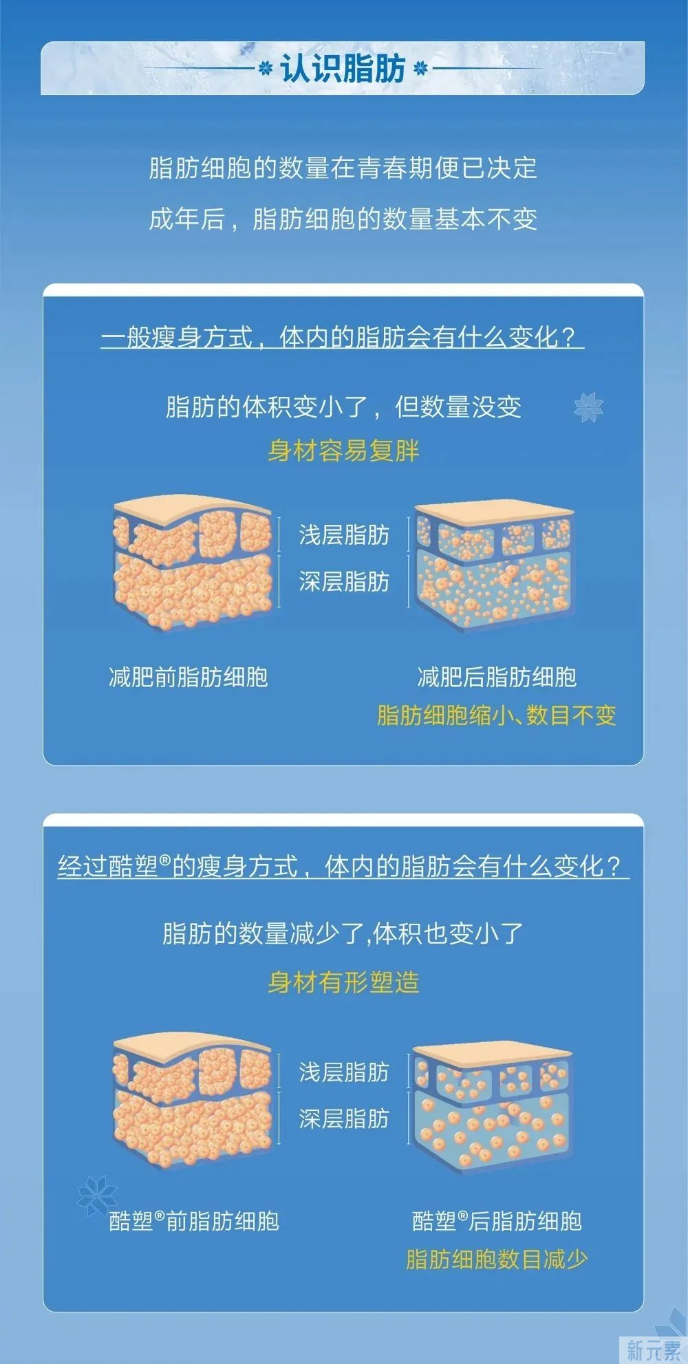 想体验冷冻减脂，为什么被医生劝退? 图片-5