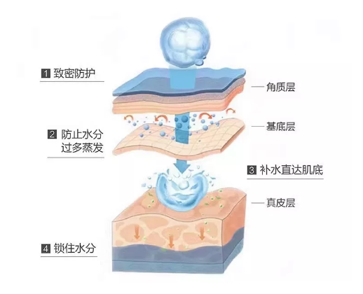 想要年轻 脸不垮?综合抗衰是王炸! 图片-5