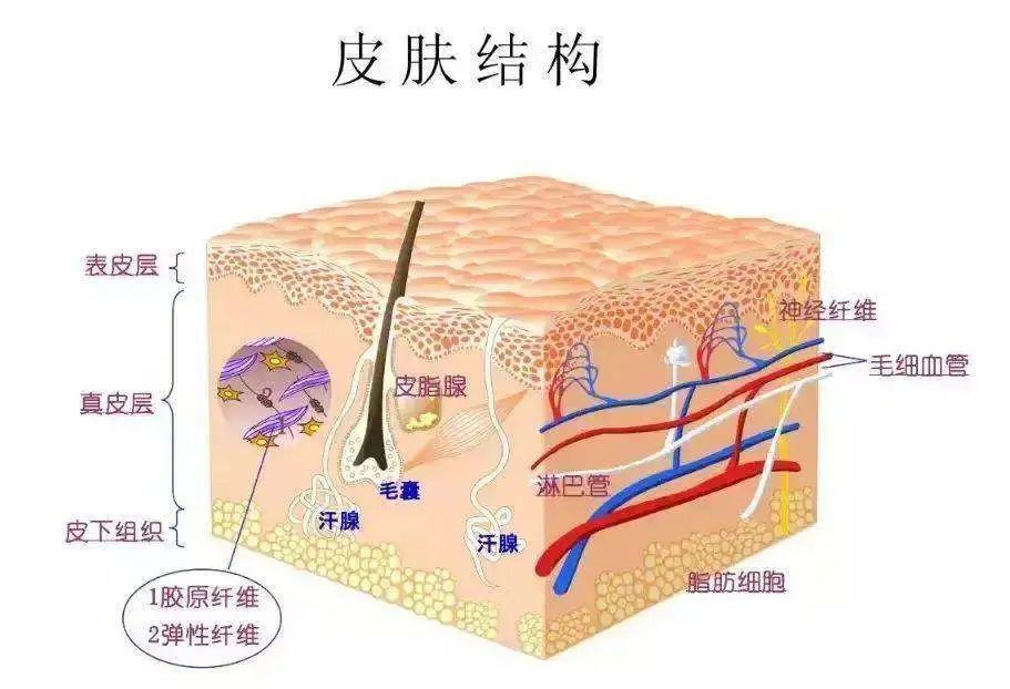 凹陷疤痕能恢复平整吗? 图片-2