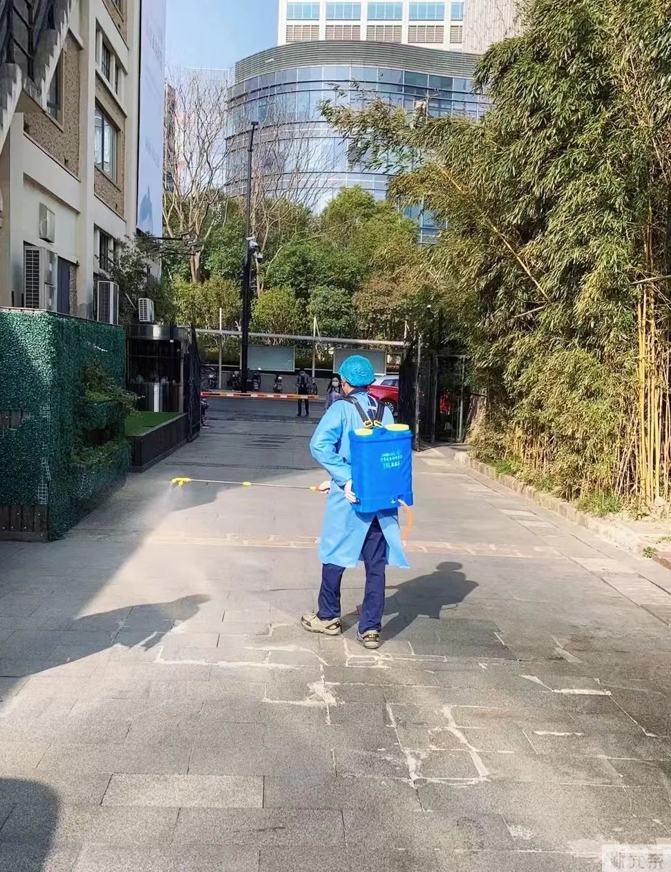 【复诊通知】首尔丽格将于6月8日正式恢复诊疗服务，请大家相互转告! 图片-6