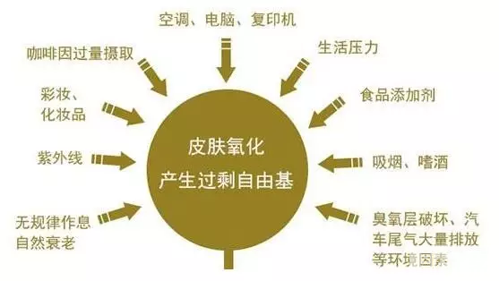 肌肤“抗糖抗氧化”到底是怎么肥事儿?想要皮肤好，冭活少不了 图片-6