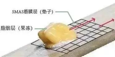 抗衰≠整容 | 你要的不是整容，而是抗衰! 图片-8
