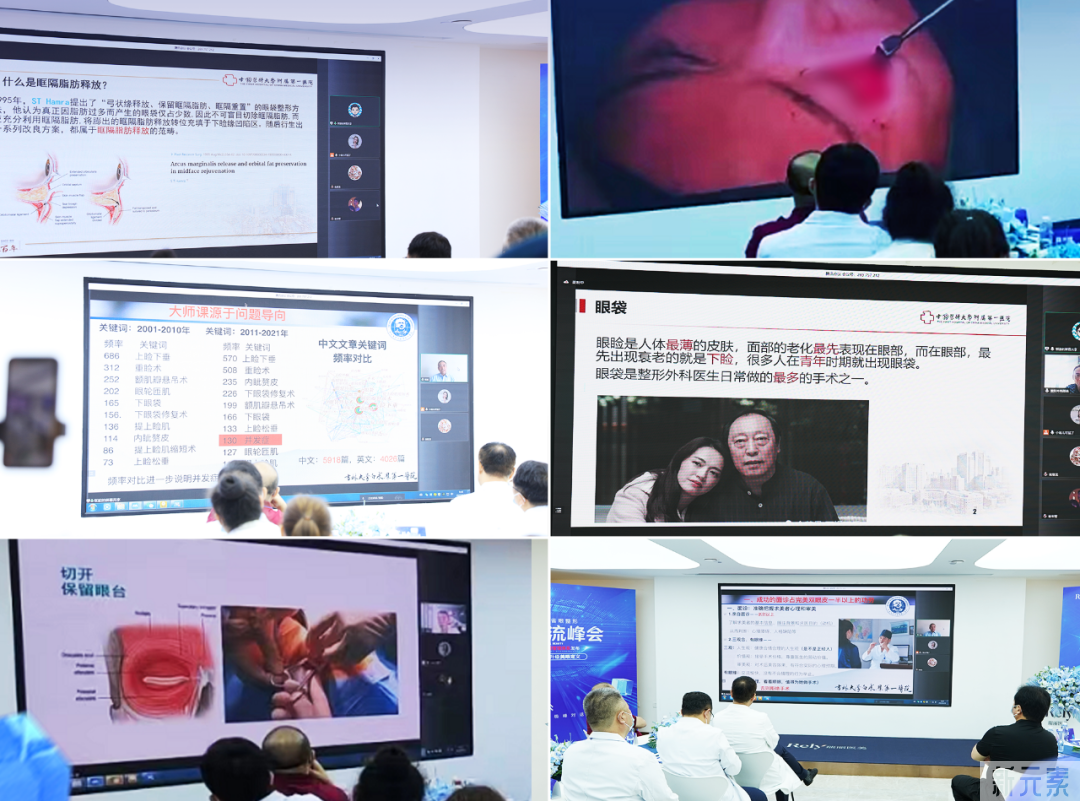 大师论道，点燃学术盛宴!第2届东三省眼整形技术交流峰会圆满收官 图片-11
