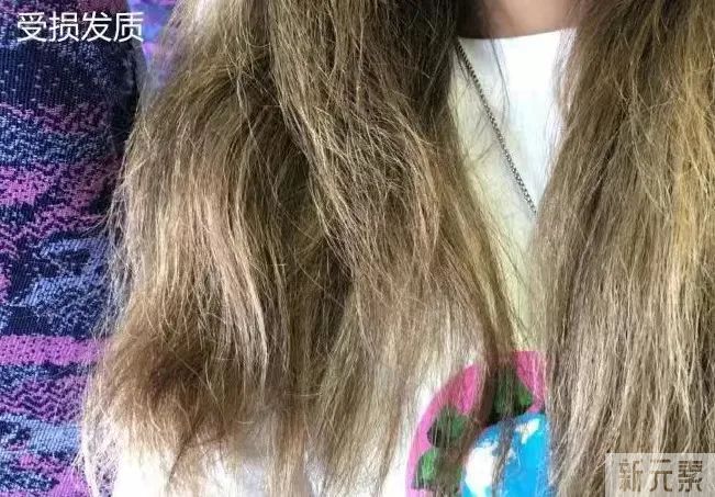 想早日告别脱发?请收好这份日常防脱攻略 图片-4