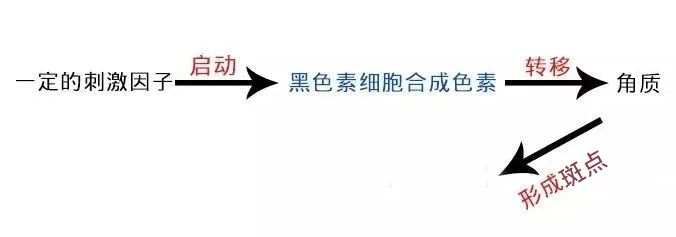 干货 | 看完这篇你就会知道，变白有啥难的? 图片-4