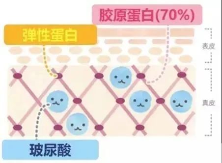 真的好纠结，玻尿酸VS胶原蛋白我该填充哪个好? 图片-8