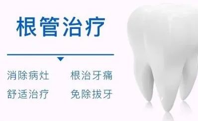 根管治疗后，牙齿可以“存活”多少年? 图片-5