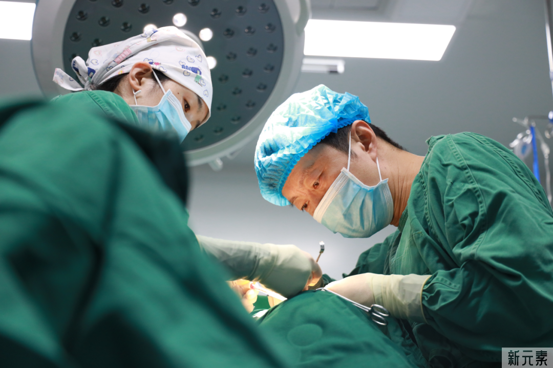 高规格!大咖云集!鼻整形学术高峰论坛即将在昆举行! 图片-3