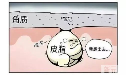谁说毛孔粗大没有救了?我找到了细腻毛孔的办法 图片-3