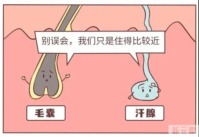 为什么女生也会长「小胡子」?会不会越刮越粗?如何告别「小胡子」? 图片-6