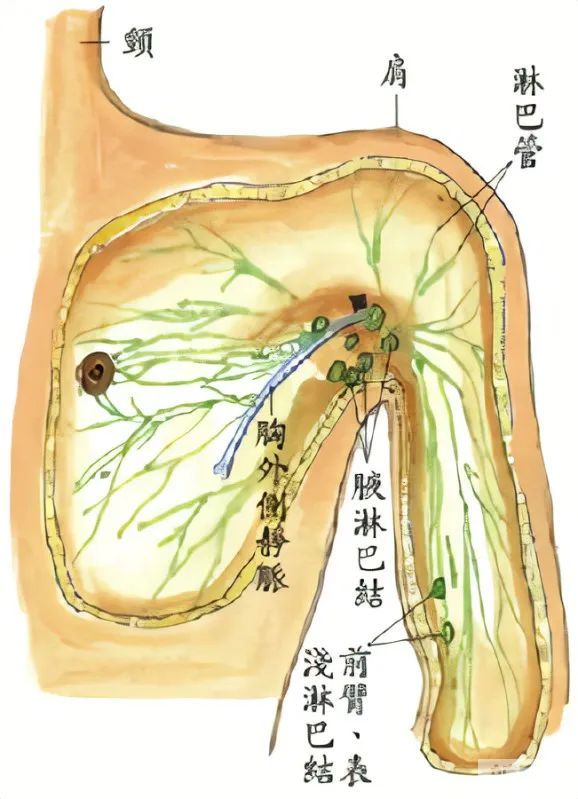 想要切除副乳又怕痛?你还可以选择—— 图片-5