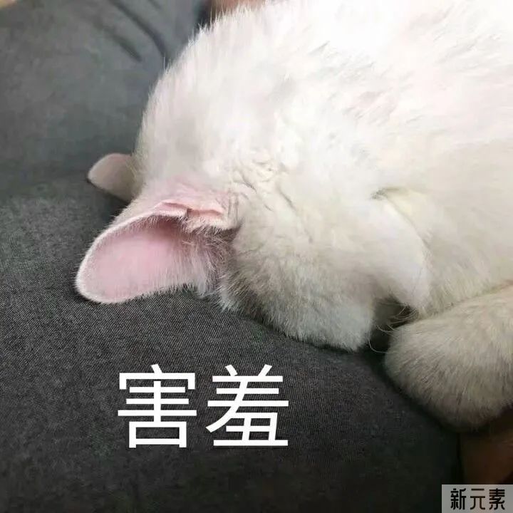吸脂术，吸出脂肪越多，医生技术越好? 图片-3