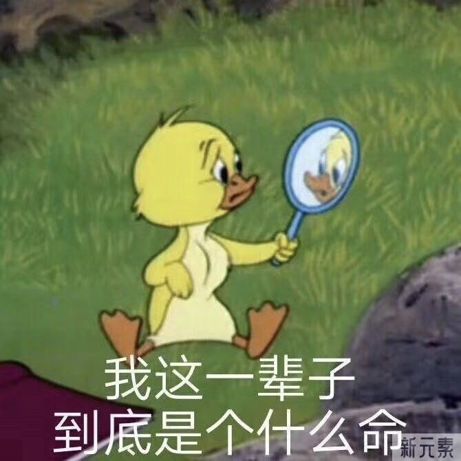 如何区分脂肪粒与粉刺?看这4点就够了 图片-2